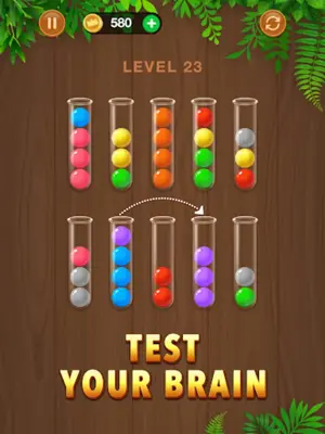 Wooden Ball Sort - Puzzle Game android App screenshot 9