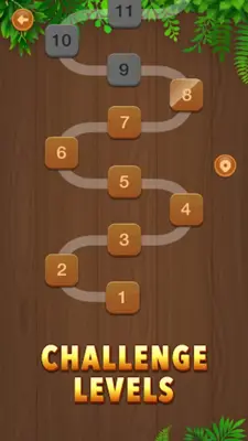 Wooden Ball Sort - Puzzle Game android App screenshot 11