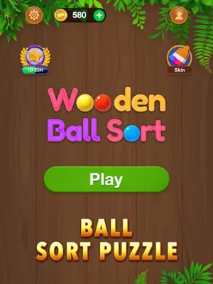 Wooden Ball Sort - Puzzle Game android App screenshot 2