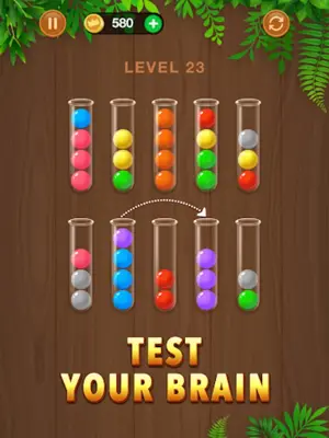 Wooden Ball Sort - Puzzle Game android App screenshot 4